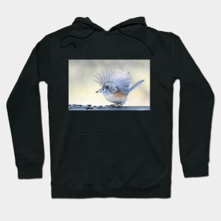 Feathered Fan Hoodie